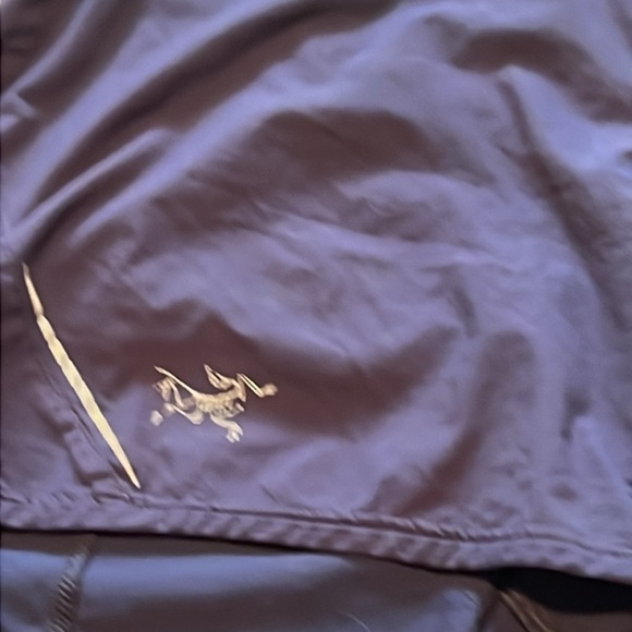 Arc’teryx hottie shorts. - Picture 3 of 7